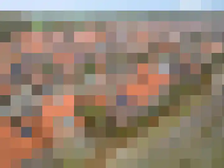 Cannenburgerbos 14 Ede thumbnail 37