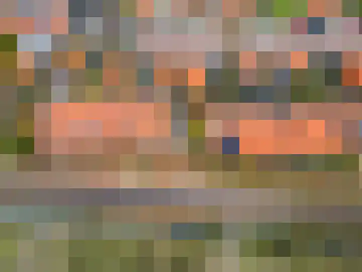 Cannenburgerbos 14 Ede thumbnail 38