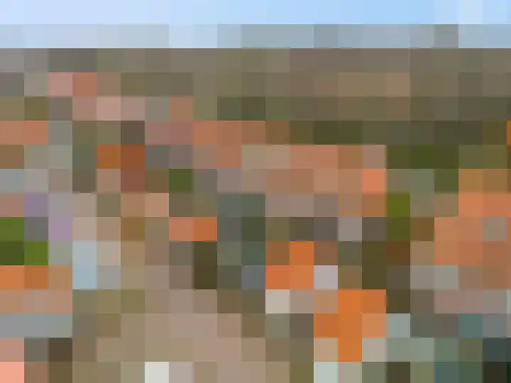 Cannenburgerbos 14 Ede thumbnail 39