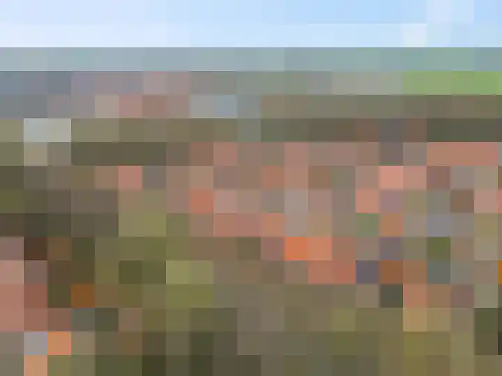 Cannenburgerbos 14 Ede thumbnail 40