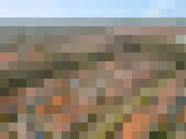 Cannenburgerbos 14 Ede thumbnail 41