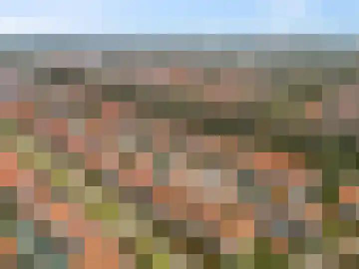 Cannenburgerbos 14 Ede thumbnail 42