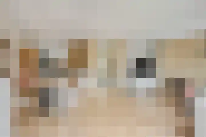 Cannenburgerbos 14 Ede thumbnail 5
