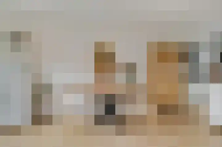 Cannenburgerbos 14 Ede thumbnail 6