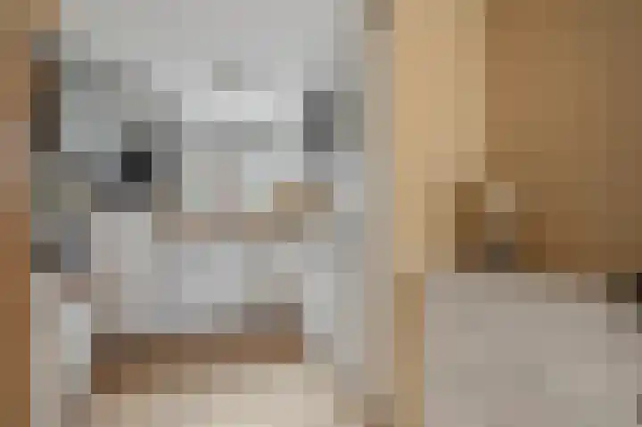 Cannenburgerbos 14 Ede thumbnail 7