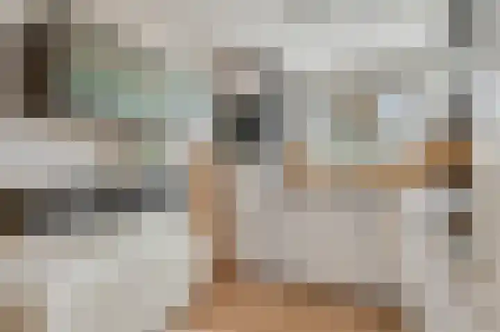 Cannenburgerbos 14 Ede thumbnail 8