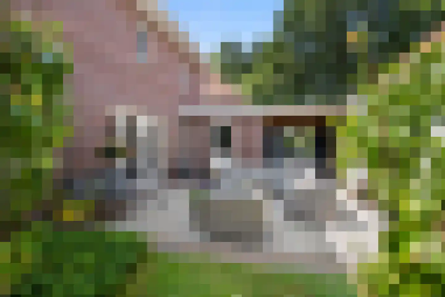 Cannenburgerbos 25 Ede thumbnail 11