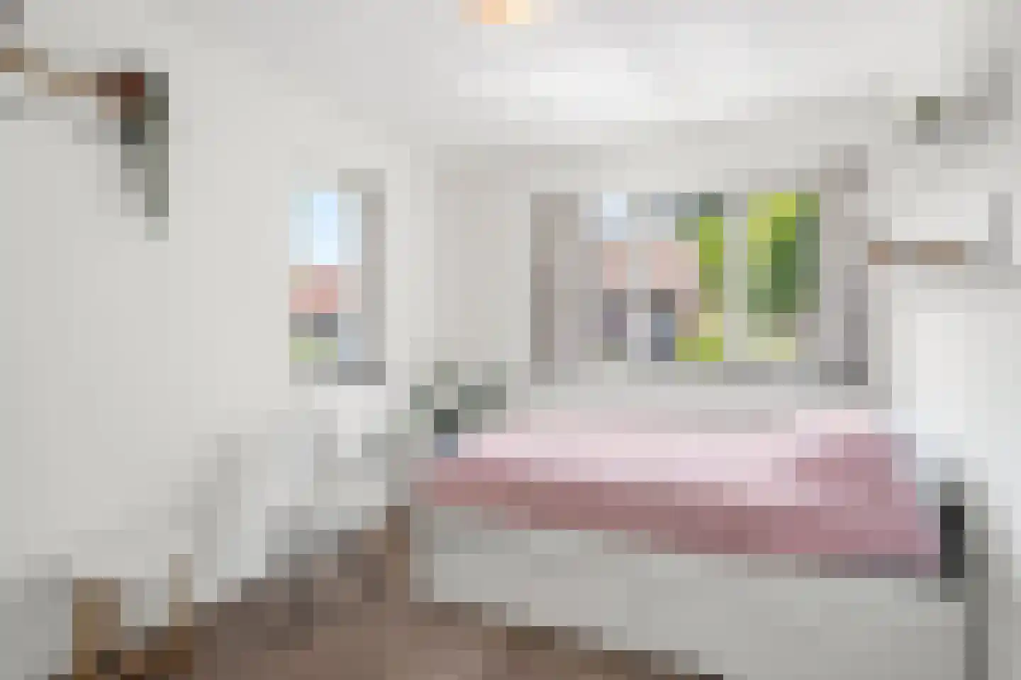 Cannenburgerbos 25 Ede thumbnail 34