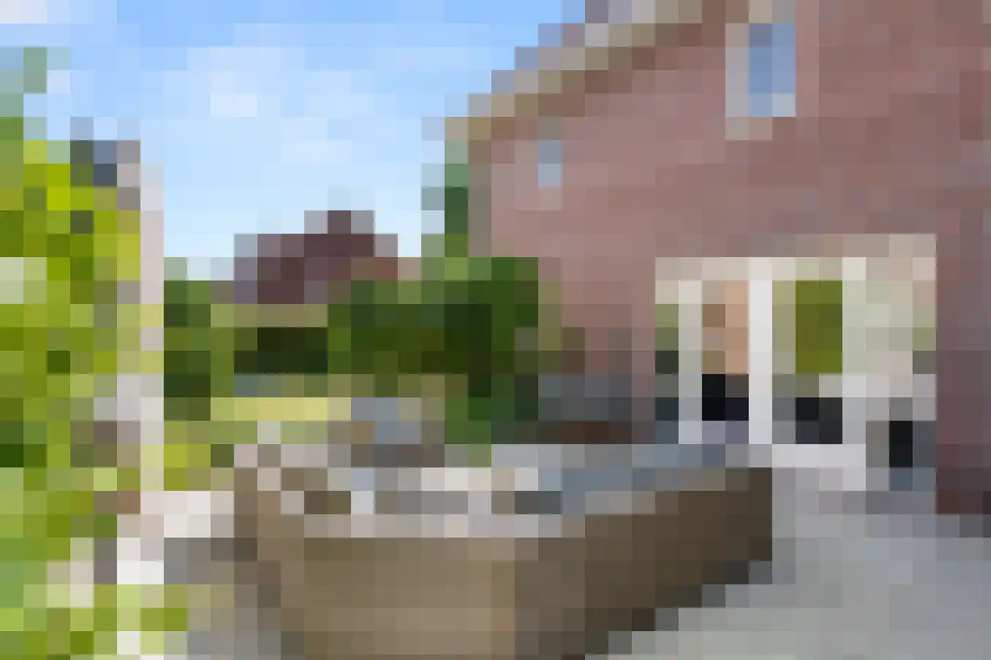 Cannenburgerbos 25 Ede thumbnail 4