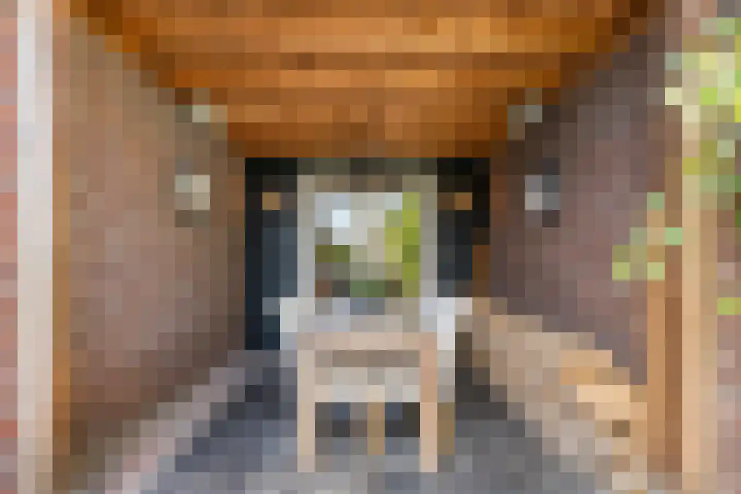Cannenburgerbos 25 Ede thumbnail 47