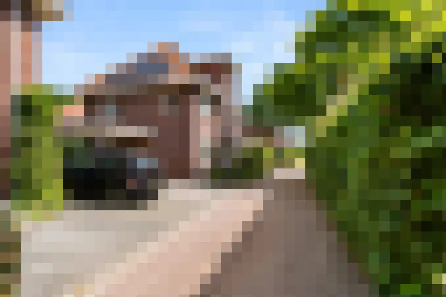 Cannenburgerbos 25 Ede thumbnail 7