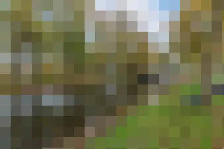 Cannenburgerweg 31 Ankeveen thumbnail 30