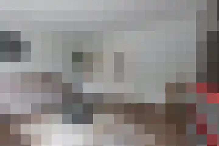Cannenburgerweg 31 Ankeveen thumbnail 7