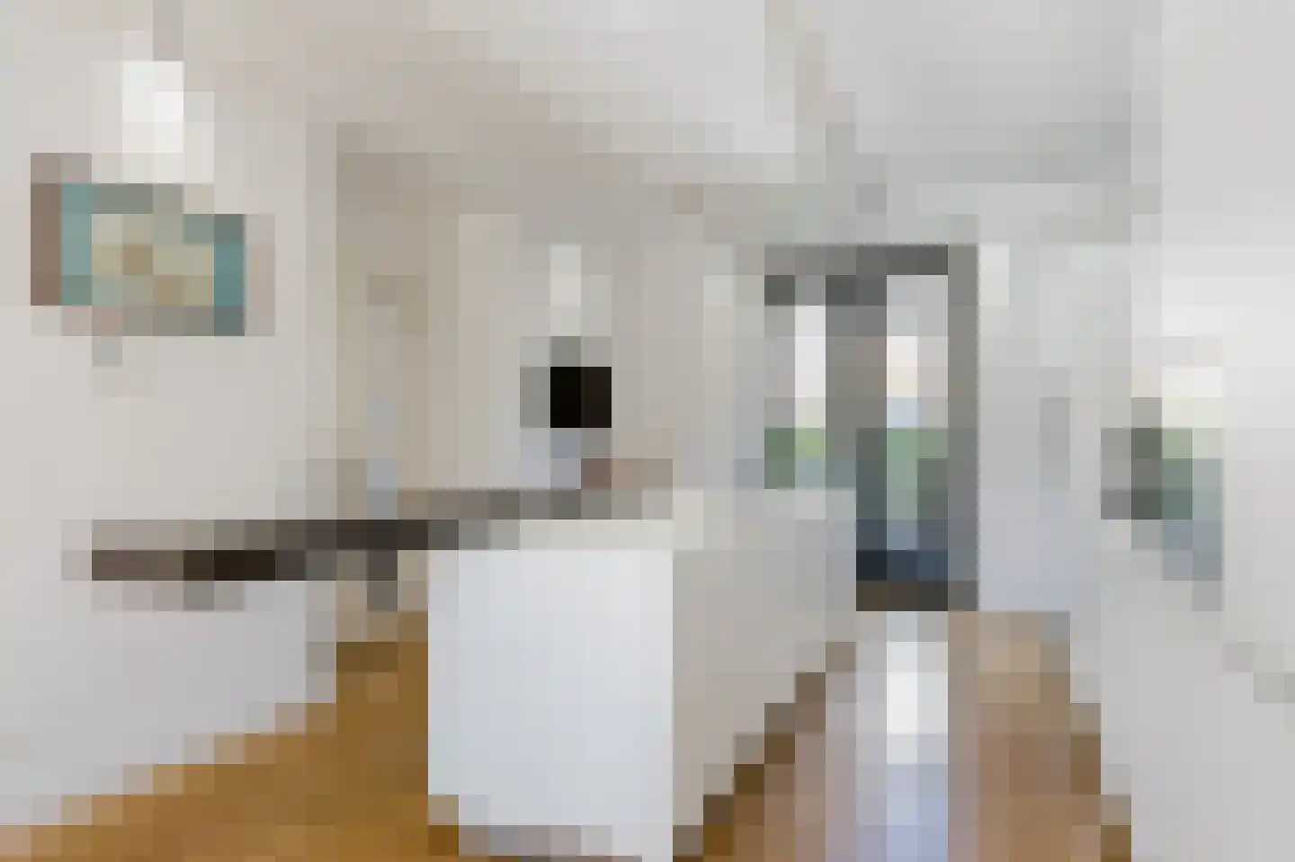 Cannenburgh 15 Amstelveen thumbnail 15