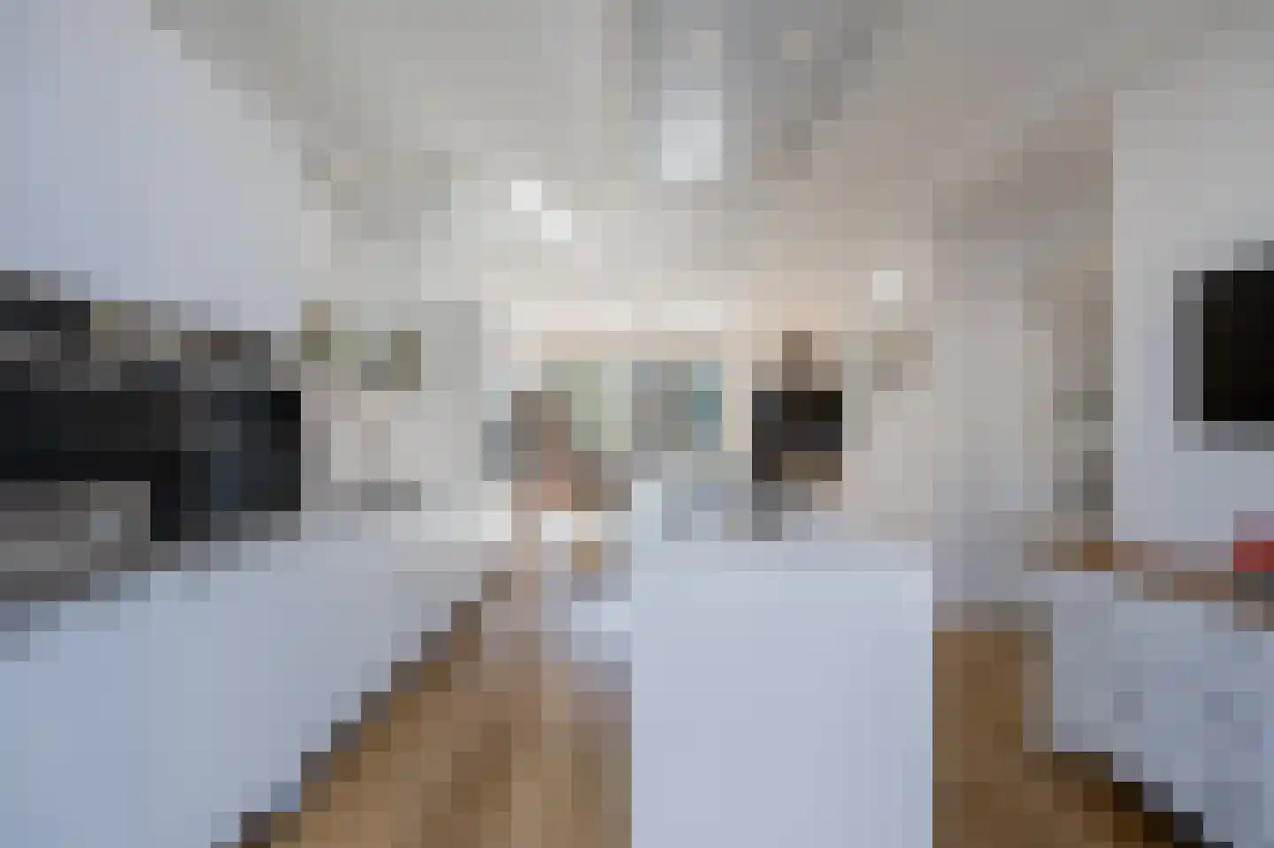 Cannenburgh 15 Amstelveen thumbnail 16