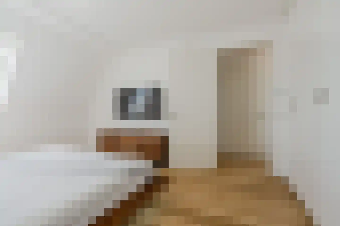 Cannenburgh 15 Amstelveen thumbnail 31