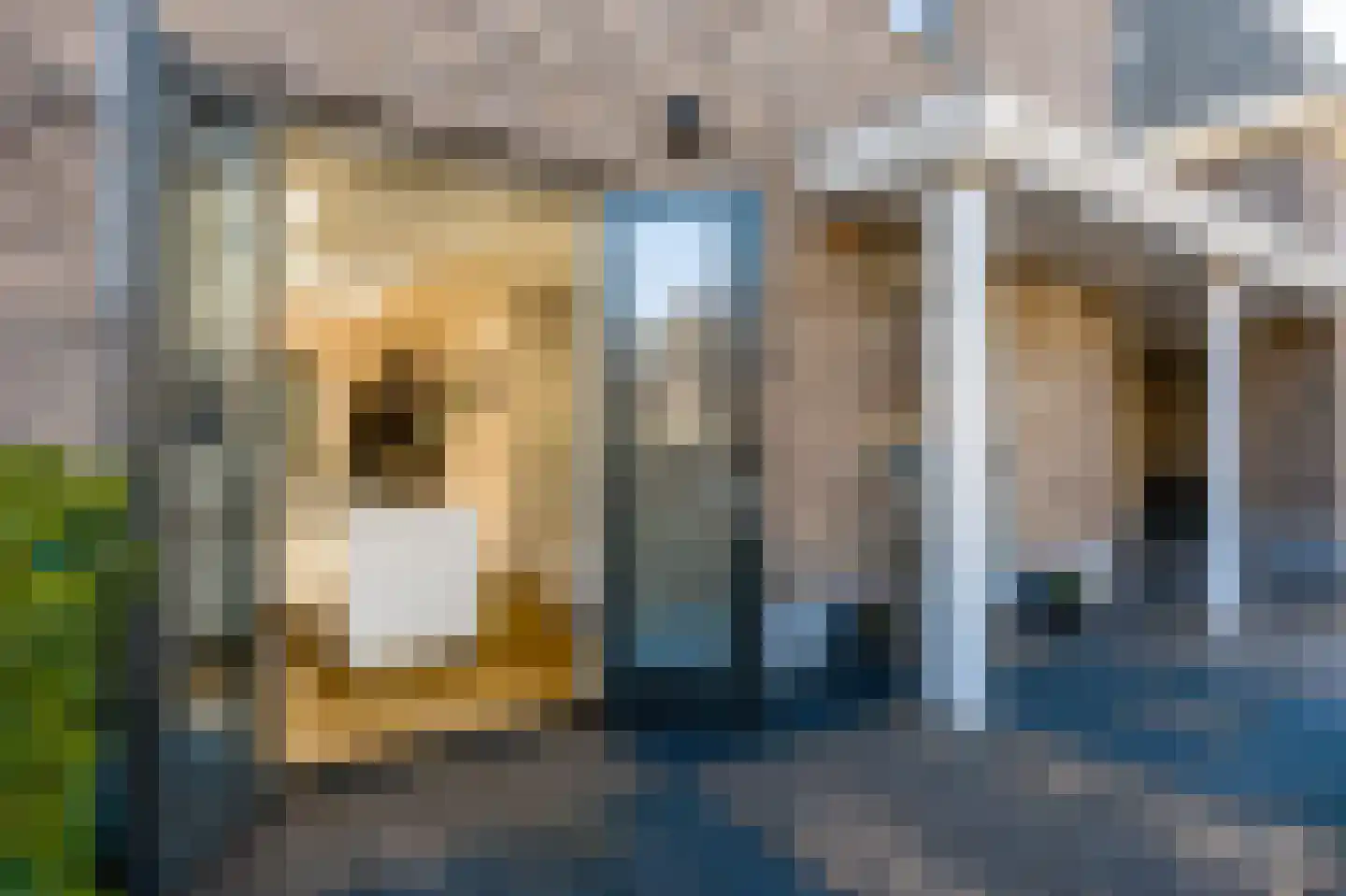 Cannenburgh 15 Amstelveen thumbnail 40