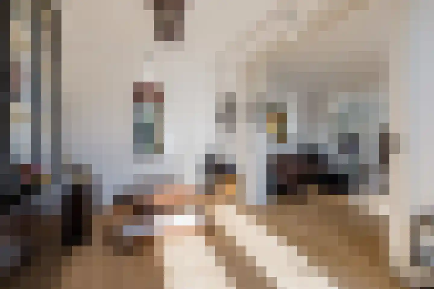 Cannenburgh 15 Amstelveen thumbnail 9