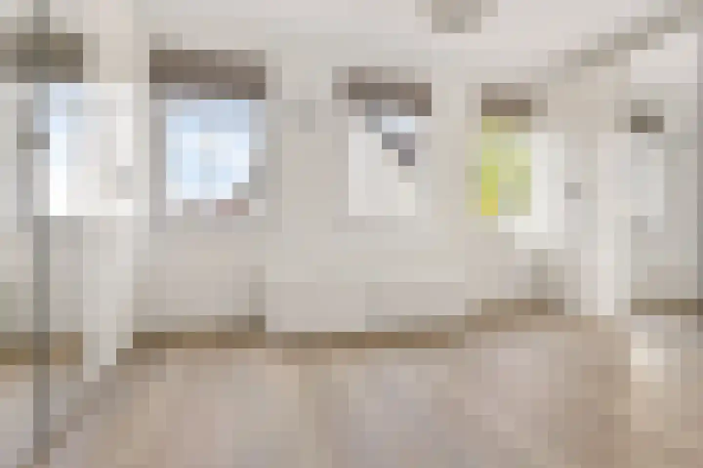 Cannenburgh 4 Amstelveen thumbnail 6