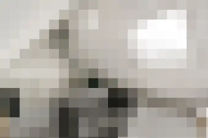 Cannenburgh 48 Amstelveen thumbnail 13