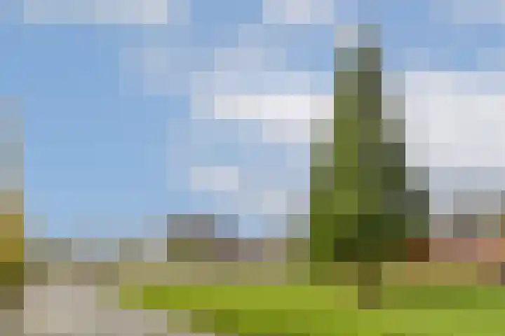 Cannenburgh 48 Amstelveen thumbnail 15