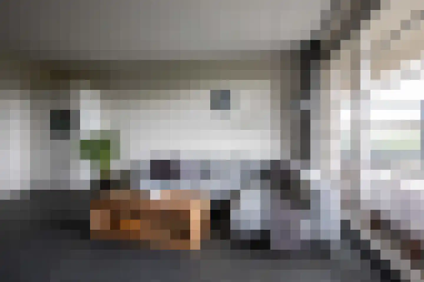 Cannenburgh 63 Amstelveen thumbnail 6