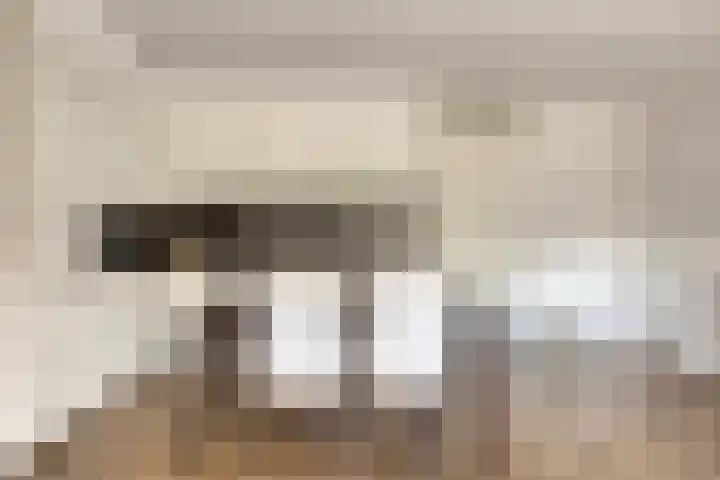 Cannenburgh 71 Amstelveen thumbnail 7