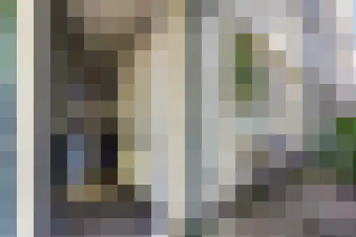 Cannenburglaan 13 Den Haag thumbnail 10