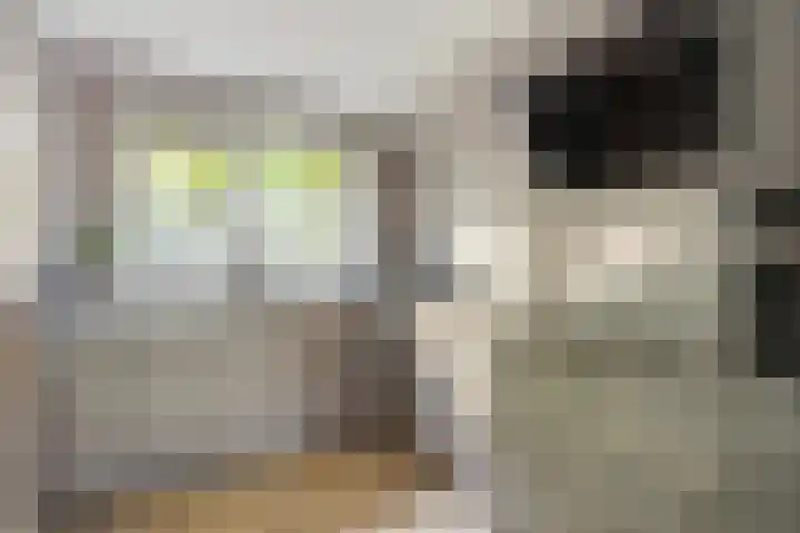 Cannenburglaan 13 Den Haag thumbnail 15