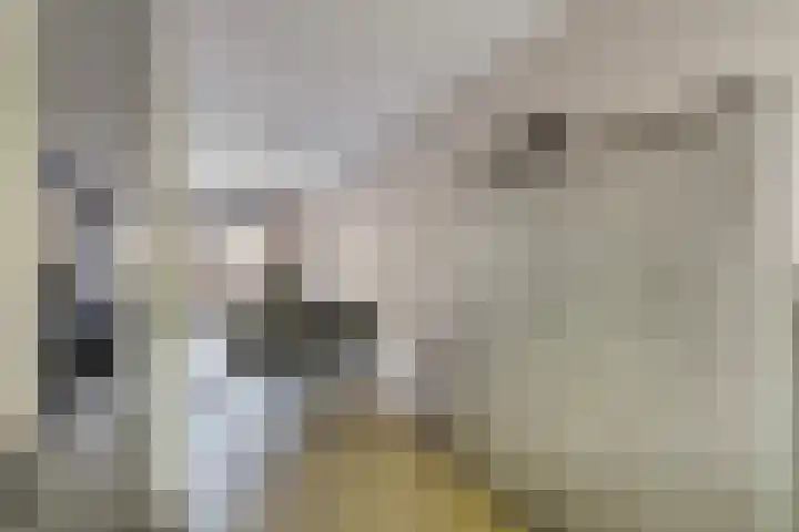 Cannenburglaan 13 Den Haag thumbnail 17