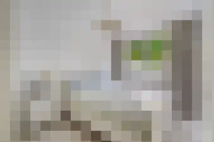 Cannenburglaan 13 Den Haag thumbnail 31