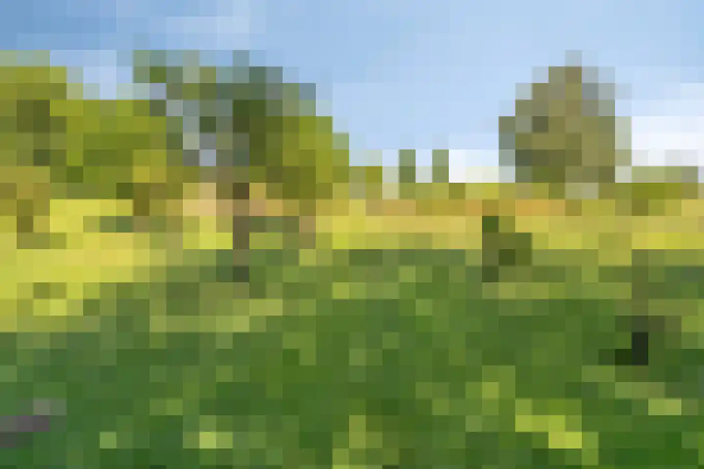 Cannerweg 338 Maastricht thumbnail 6