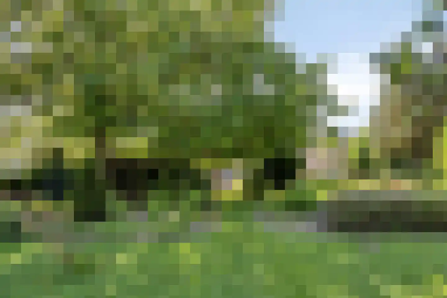 Cannerweg 338 Maastricht thumbnail 60