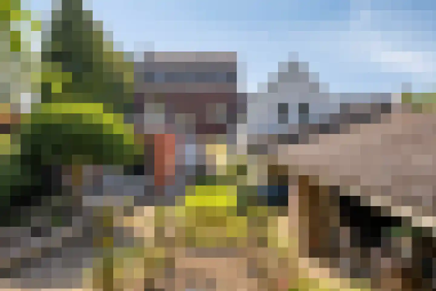 Cannerweg 338 Maastricht thumbnail 61
