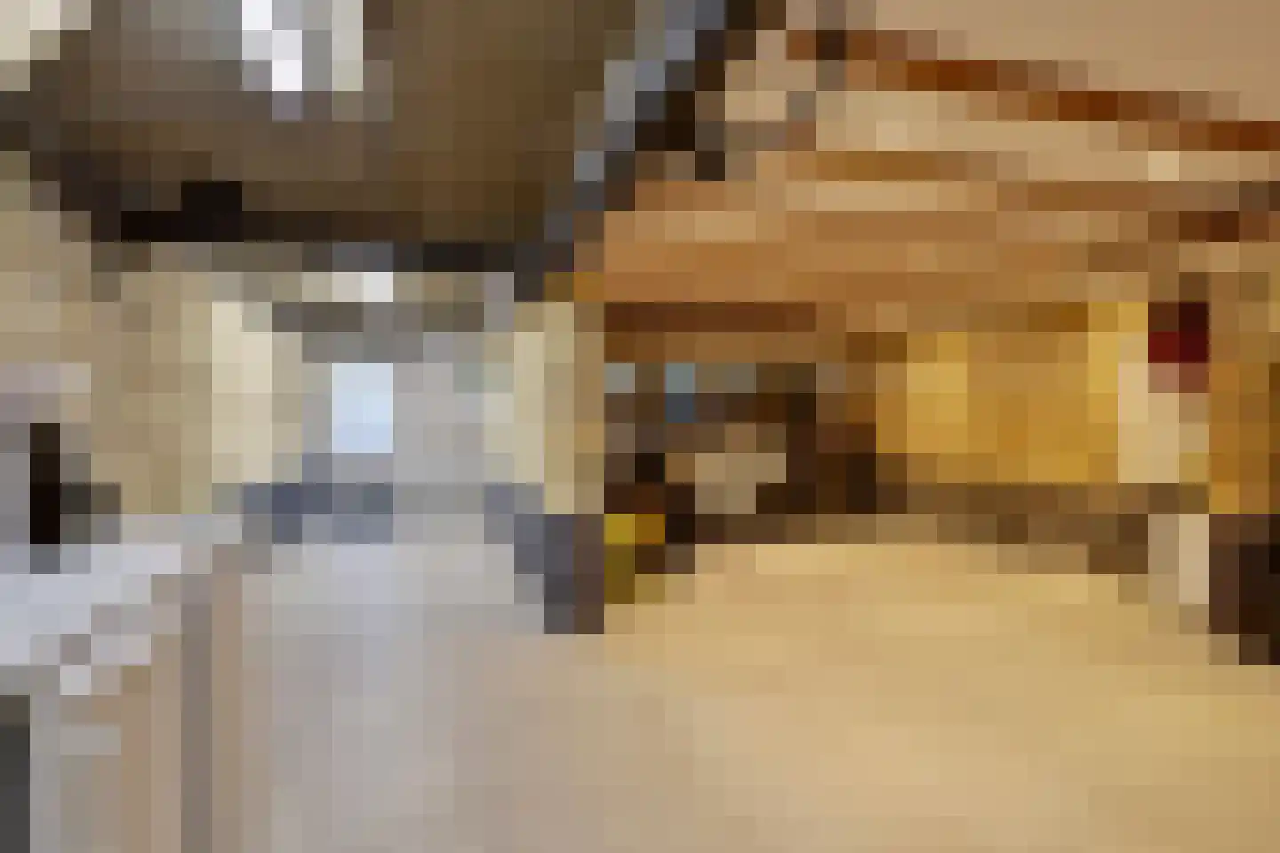 Cannerweg 70 Maastricht thumbnail 33