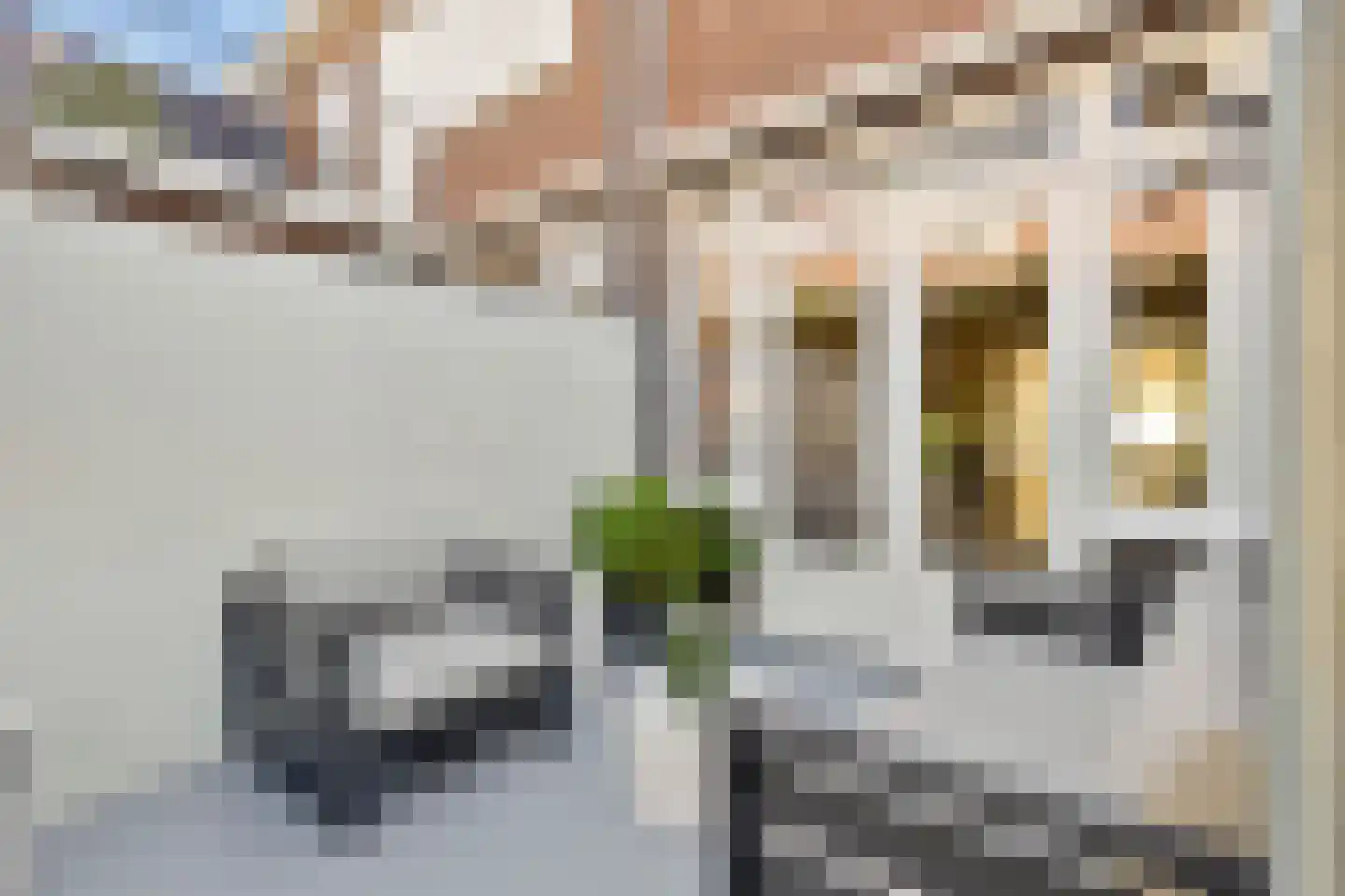 Cannerweg 70 Maastricht thumbnail 35