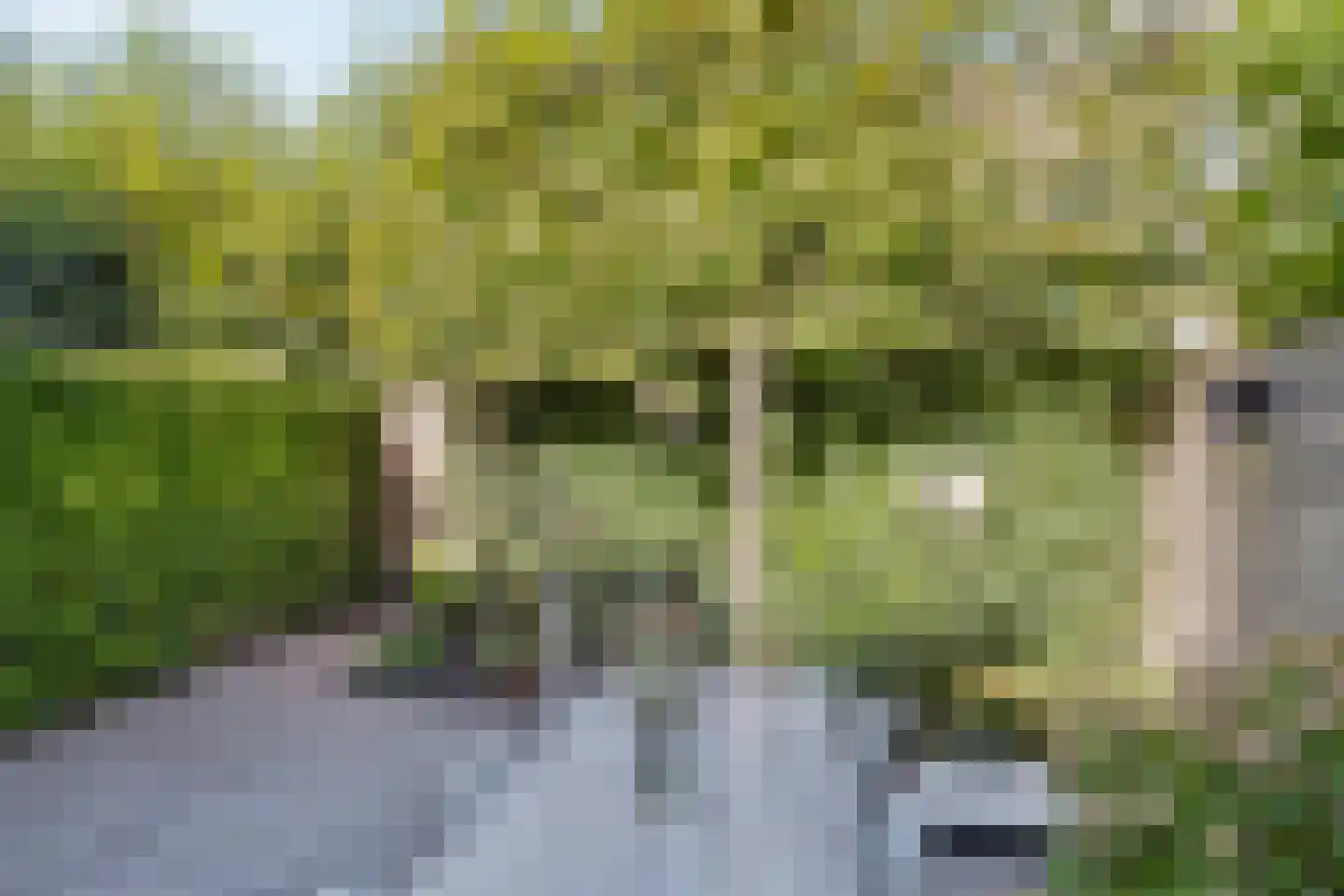 Cannerweg 70 Maastricht thumbnail 39