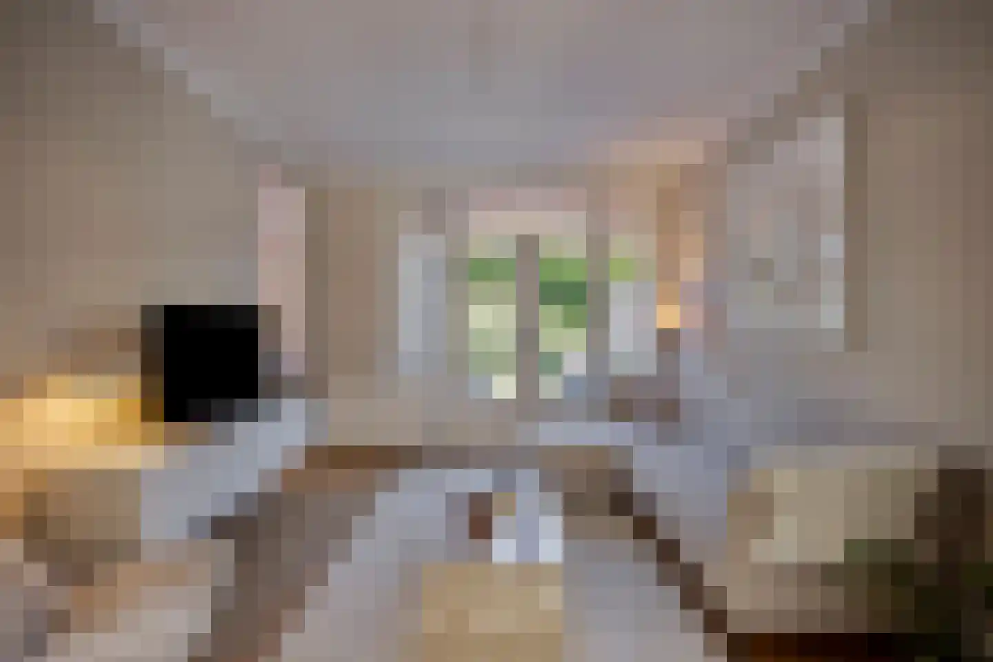 Cannerweg 70 Maastricht thumbnail 7