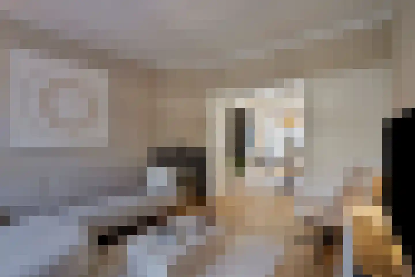 Cannerweg 70 Maastricht thumbnail 8