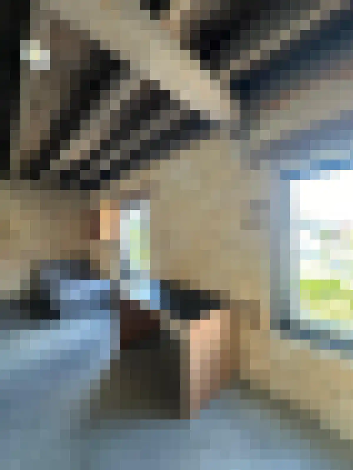 Cannerweg Maastricht thumbnail 4