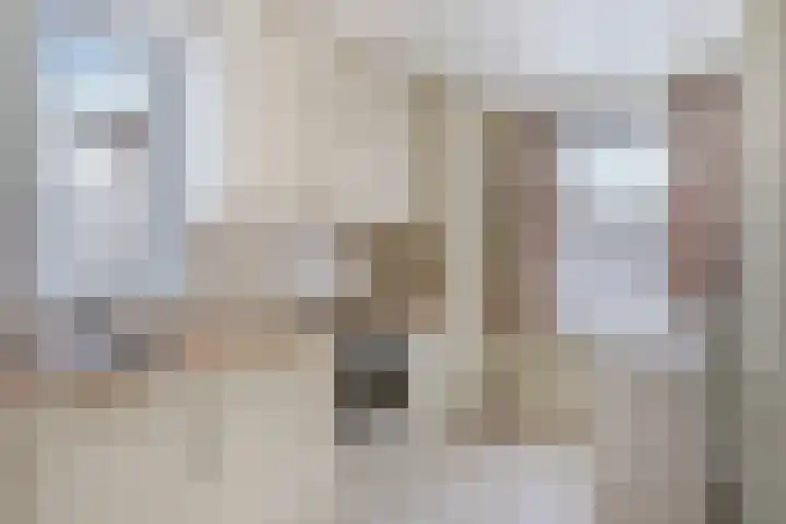 Canneshof 19 Eindhoven thumbnail 13