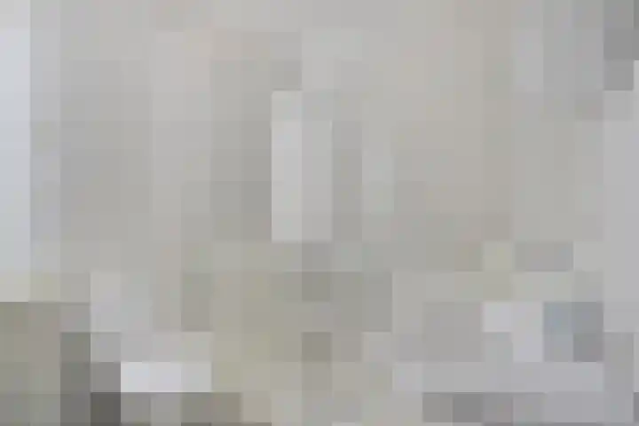 Canneshof 19 Eindhoven thumbnail 21