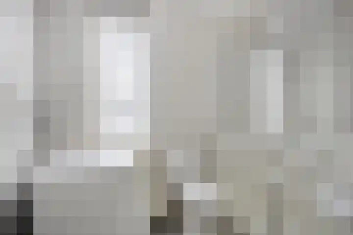 Canneshof 19 Eindhoven thumbnail 22