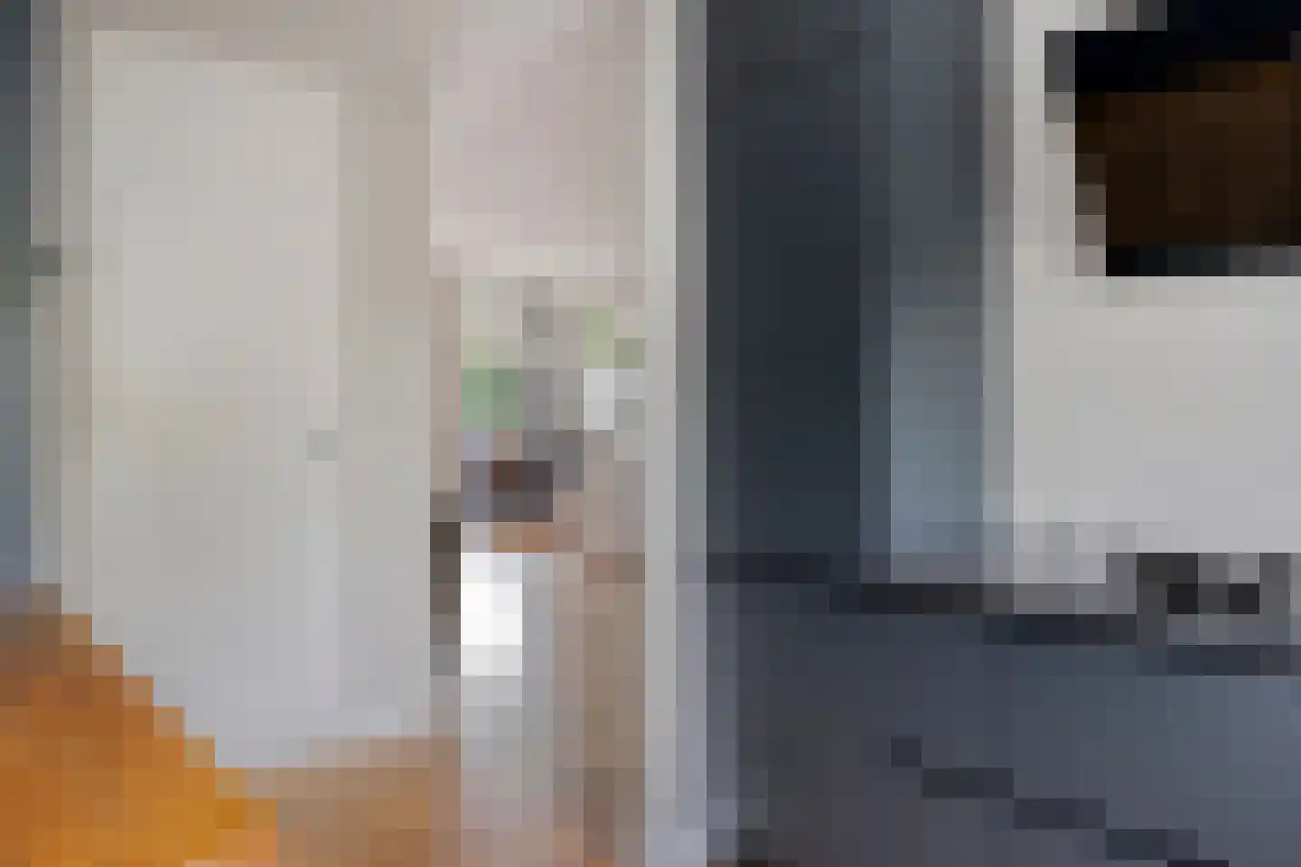 Canneshof 7 Eindhoven thumbnail 15