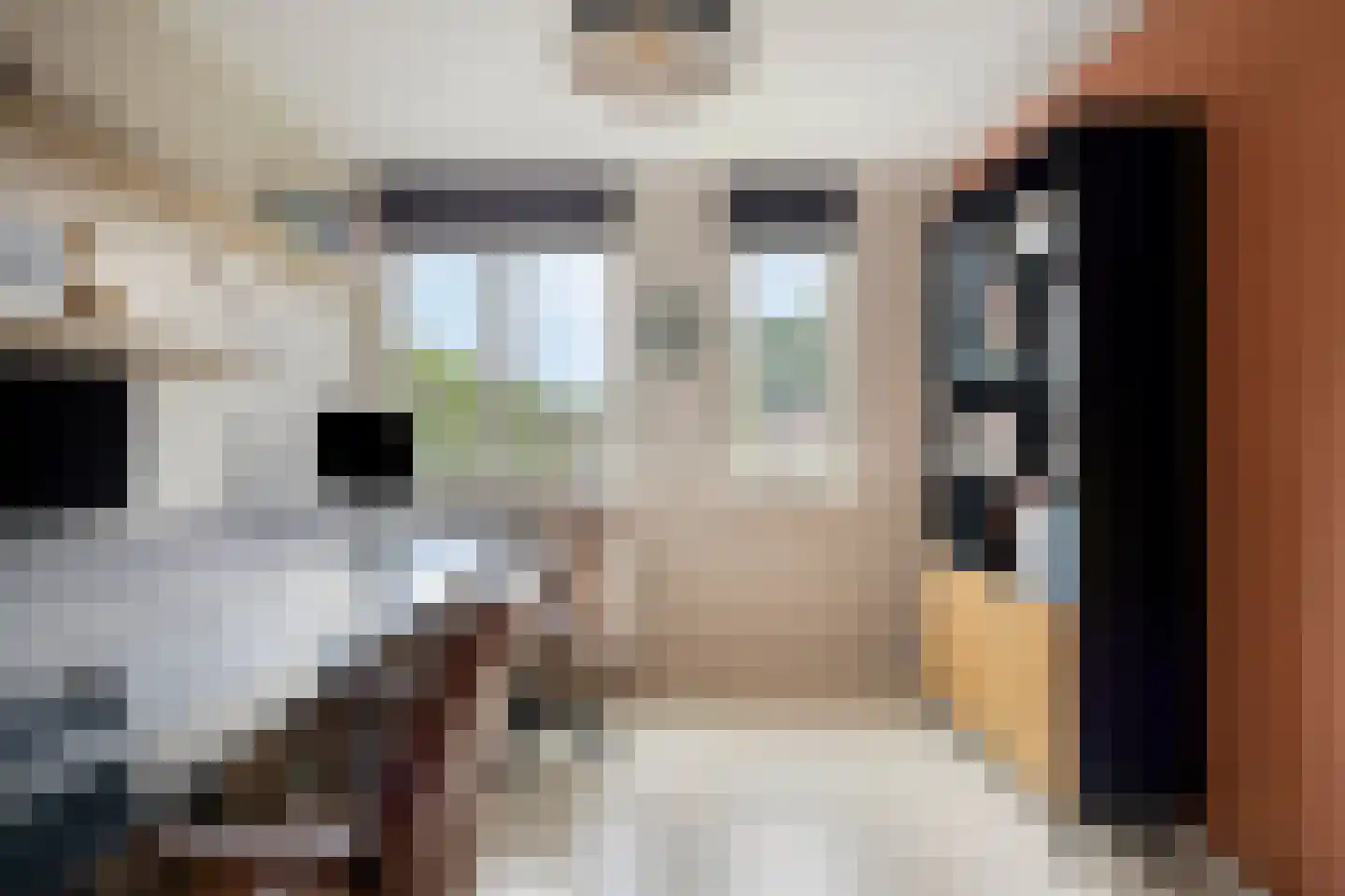 Canneshof 7 Eindhoven thumbnail 28