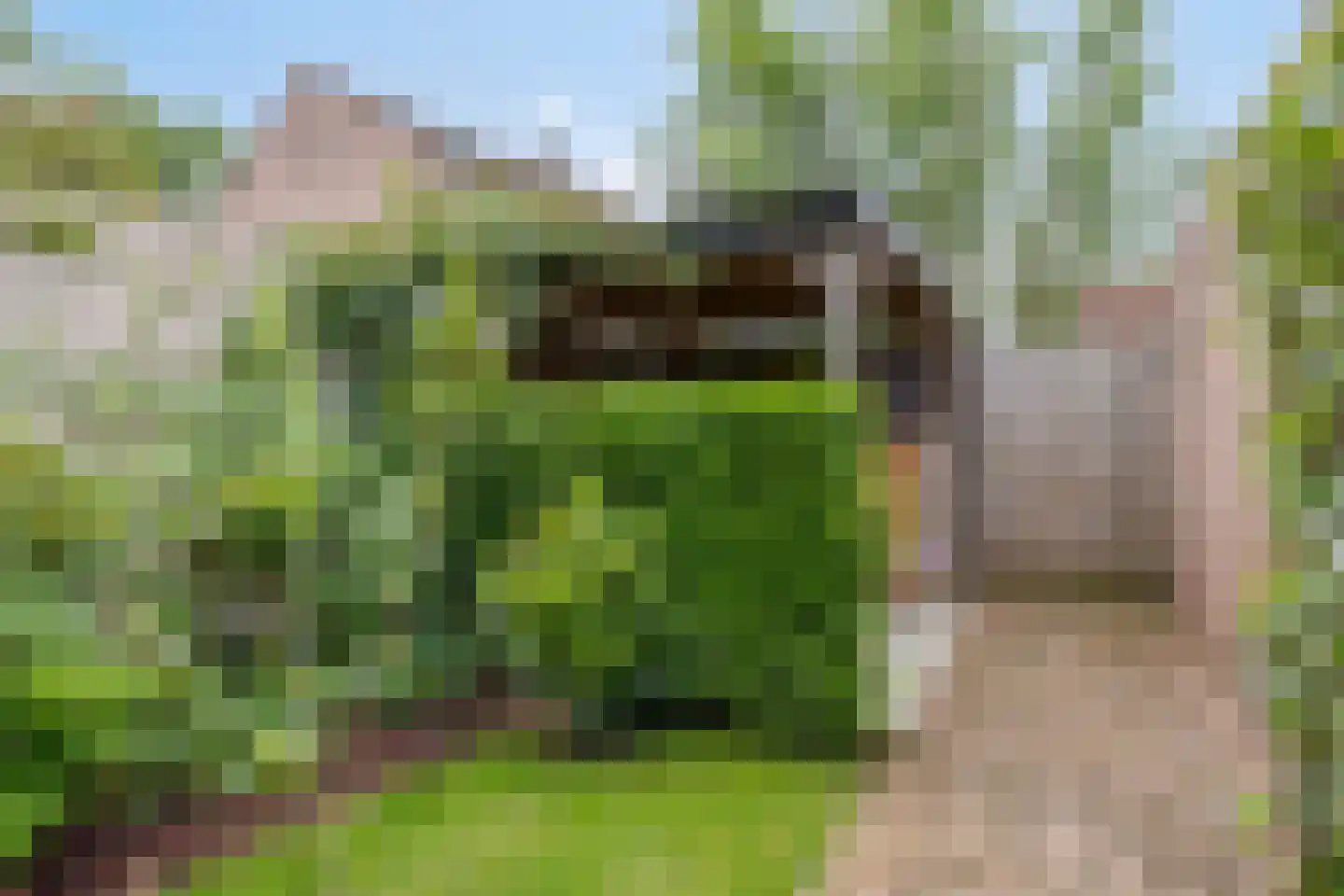 Canneshof 7 Eindhoven thumbnail 34