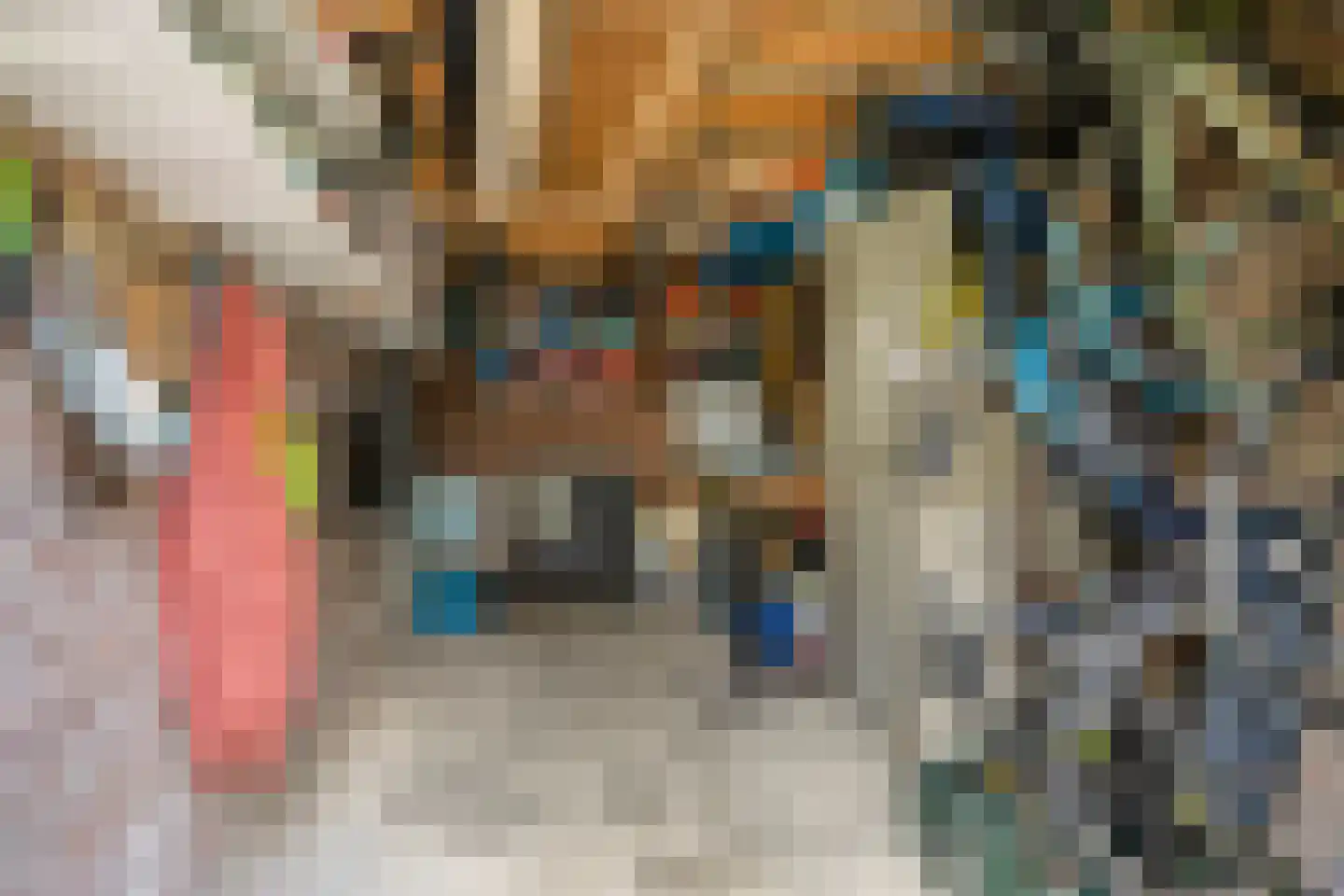 Canneshof 7 Eindhoven thumbnail 37
