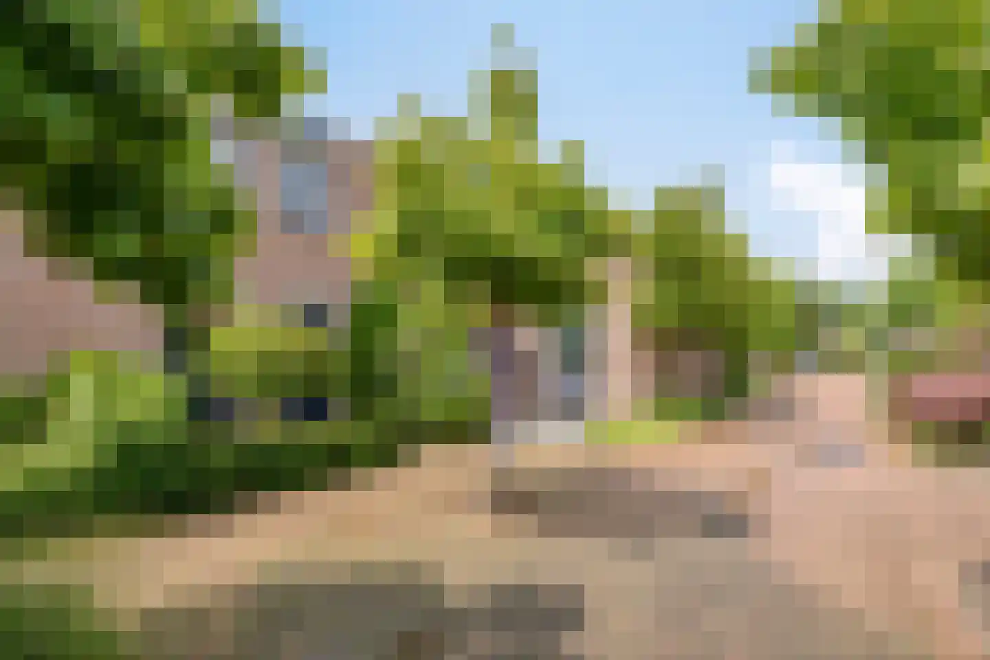 Canneshof 7 Eindhoven thumbnail 38