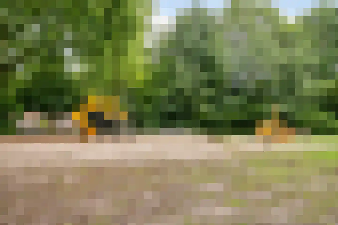 Canneshof 7 Eindhoven thumbnail 40
