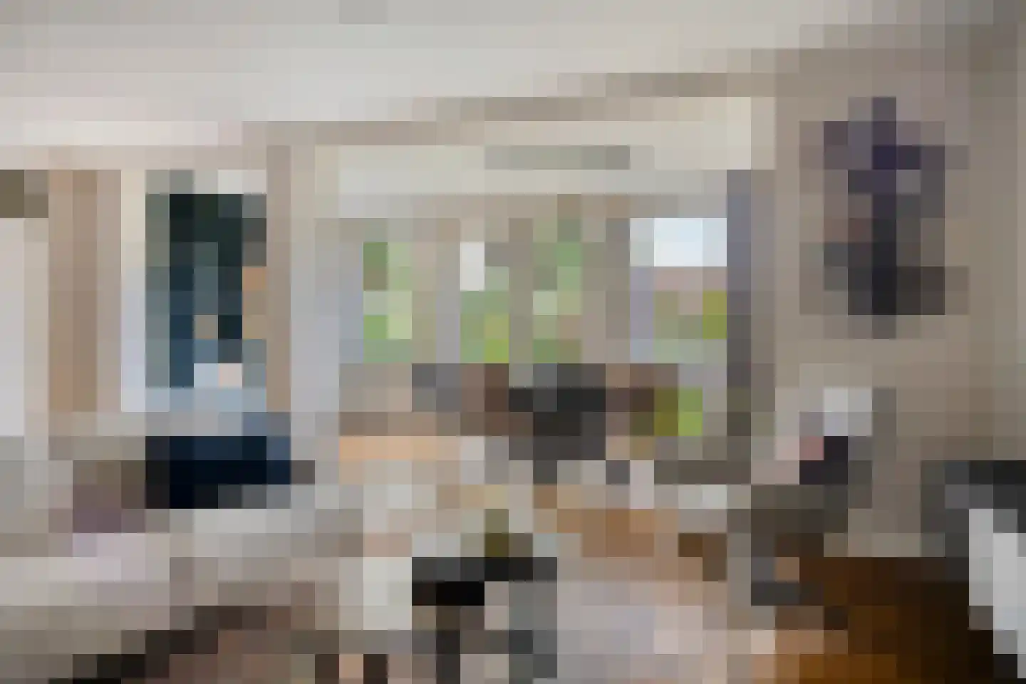 Canneshof 7 Eindhoven thumbnail 8